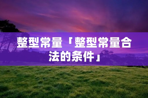 整型常量「整型常量合法的条件」 整型常量「整型常量合法的条件」
