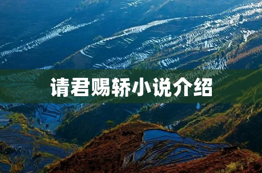 请君赐轿小说介绍