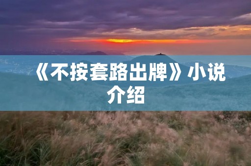 《不按套路出牌》小说介绍