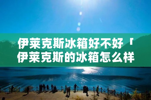 伊莱克斯冰箱好不好「伊莱克斯的冰箱怎么样」