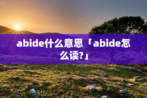 abide什么意思「abide怎么读?」