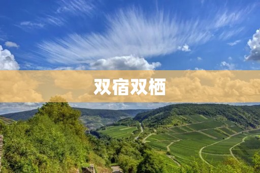 双宿双栖:探索未来生活的新模式