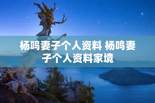 杨鸣妻子个人资料 杨鸣妻子个人资料家境 杨鸣妻子个人资料 杨鸣妻子个人资料家境