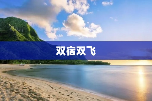 双宿双飞:开启旅行新体验