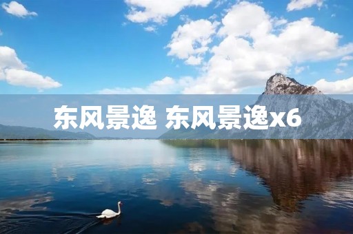 东风景逸 东风景逸x6