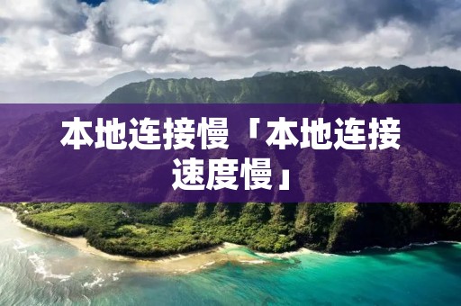 本地连接慢「本地连接速度慢」