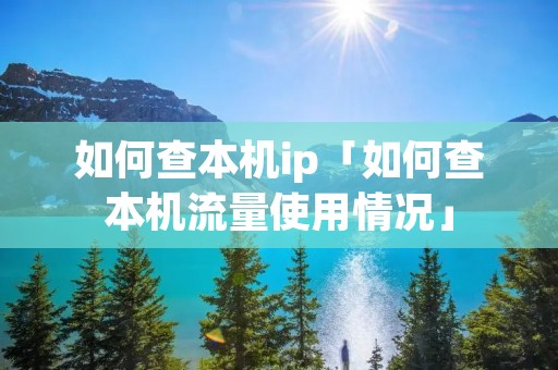 如何查本机ip「如何查本机流量使用情况」 如何查本机ip「如何查本机流量使用情况」