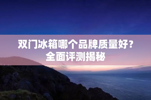 双门冰箱哪个品牌质量好？全面评测揭秘