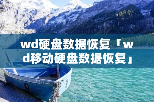 wd硬盘数据恢复「wd移动硬盘数据恢复」 wd硬盘数据恢复「wd移动硬盘数据恢复」
