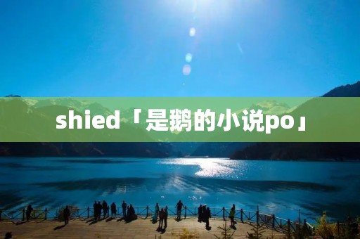 shied「是鹅的小说po」