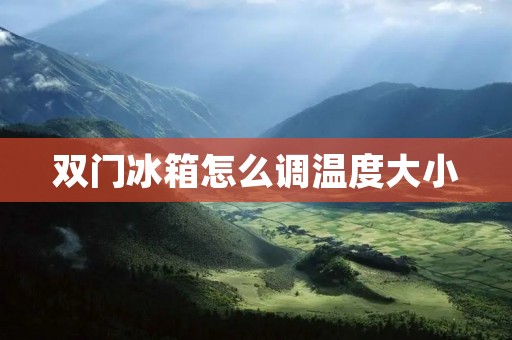 双门冰箱怎么调温度大小 双门冰箱怎么调温度大小