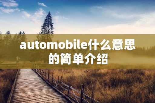 automobile什么意思的简单介绍