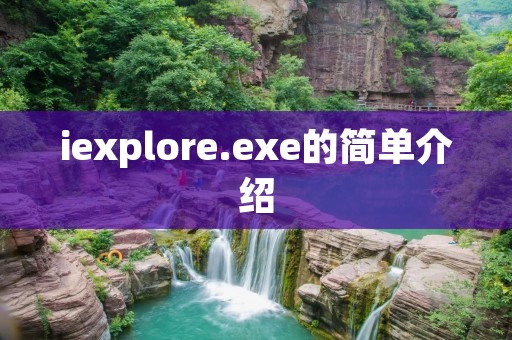 iexplore.exe的简单介绍 iexplore.exe的简单介绍
