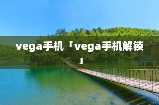 vega手机「vega手机解锁」