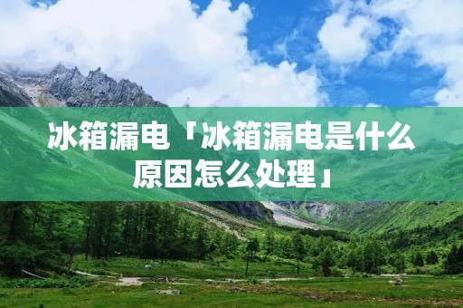冰箱漏电「冰箱漏电是什么原因怎么处理」