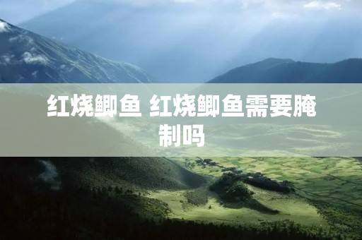 红烧鲫鱼 红烧鲫鱼需要腌制吗