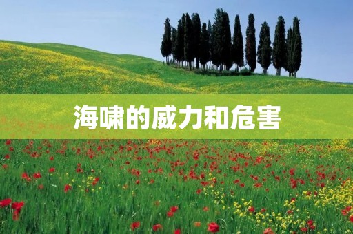 海啸的威力和危害：一个不可忽视的自然灾害