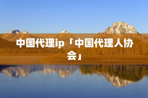 中国代理ip「中国代理人协会」 中国代理ip「中国代理人协会」