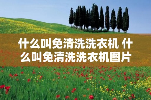 什么叫免清洗洗衣机 什么叫免清洗洗衣机图片 什么叫免清洗洗衣机 什么叫免清洗洗衣机图片