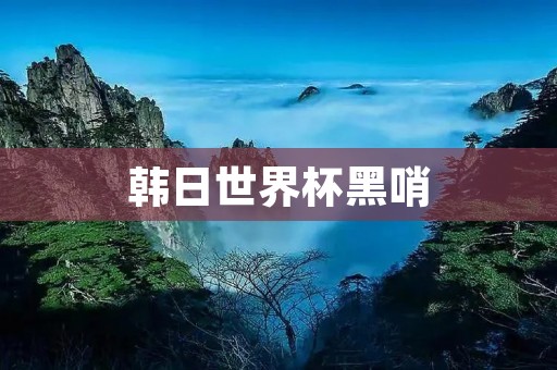 韩日世界杯黑哨：揭开裁判背后的黑幕