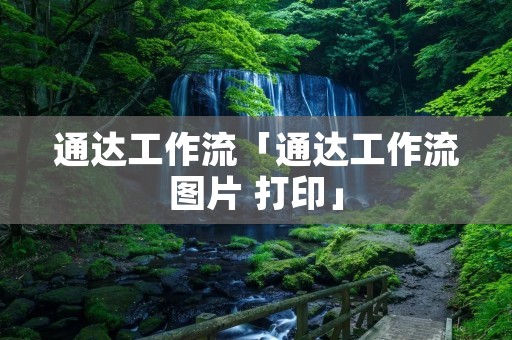 通达工作流「通达工作流图片 打印」