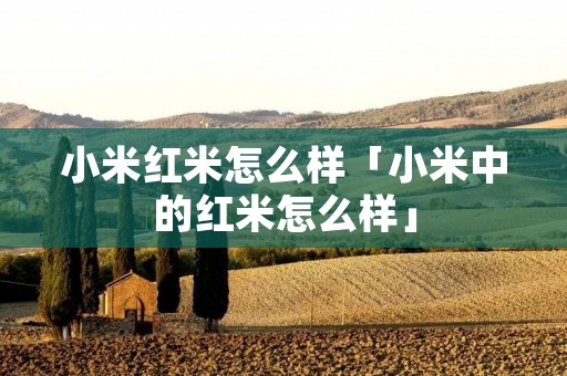 小米红米怎么样「小米中的红米怎么样」