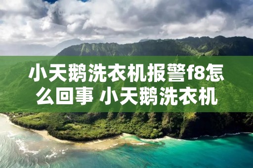 小天鹅洗衣机报警f8怎么回事 小天鹅洗衣机报警显示f8 小天鹅洗衣机报警f8怎么回事 小天鹅洗衣机报警显示f8