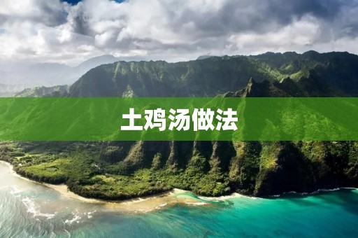 土鸡汤做法：如何炖出鲜美可口的土鸡汤