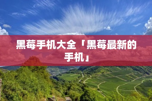 黑莓手机大全「黑莓最新的手机」