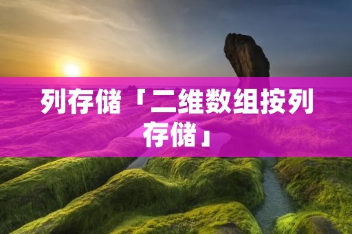 列存储「二维数组按列存储」