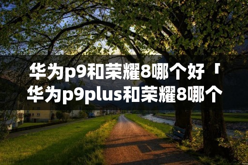 华为p9和荣耀8哪个好「华为p9plus和荣耀8哪个好」