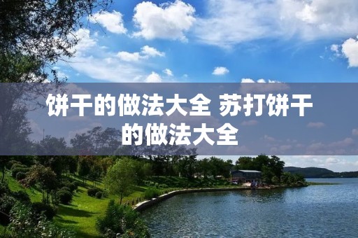 饼干的做法大全 苏打饼干的做法大全