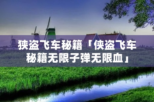 狭盗飞车秘籍「侠盗飞车秘籍无限子弹无限血」 狭盗飞车秘籍「侠盗飞车秘籍无限子弹无限血」