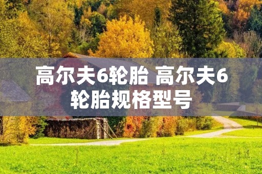 高尔夫6轮胎 高尔夫6轮胎规格型号 高尔夫6轮胎 高尔夫6轮胎规格型号