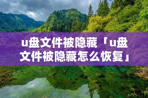 u盘文件被隐藏「u盘文件被隐藏怎么恢复」