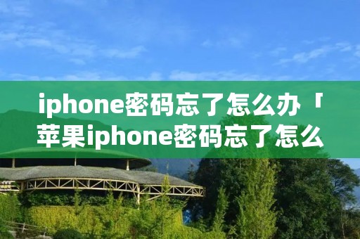 iphone密码忘了怎么办「苹果iphone密码忘了怎么办」
