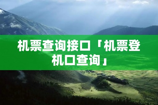 机票查询接口「机票登机口查询」