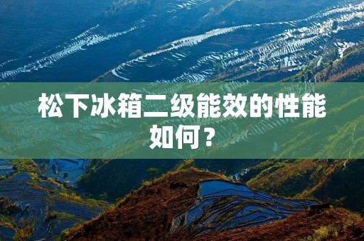 松下冰箱二级能效的性能如何？