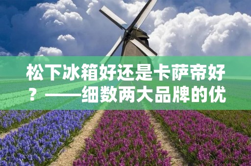 松下冰箱好还是卡萨帝好?——细数两大品牌的优劣 松下冰箱好还是卡萨帝好?——细数两大品牌的优劣