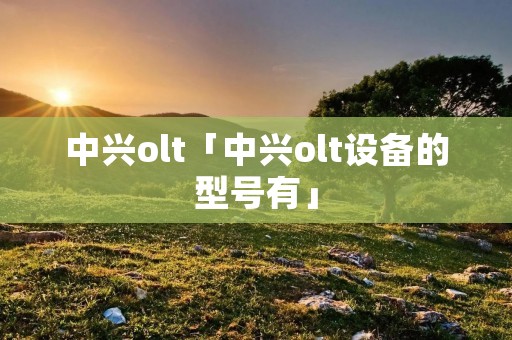 中兴olt「中兴olt设备的型号有」