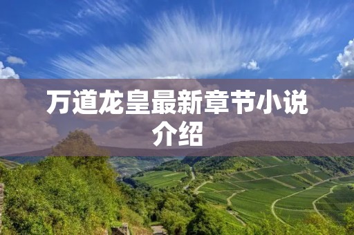 万道龙皇最新章节小说介绍