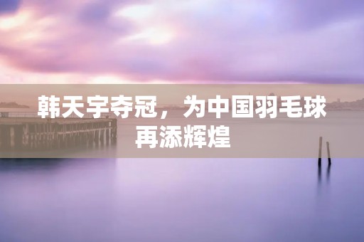 韩天宇夺冠，为中国羽毛球再添辉煌