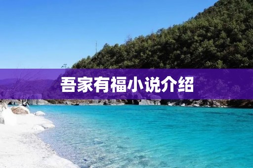 吾家有福小说介绍