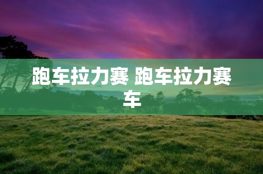 跑车拉力赛 跑车拉力赛车