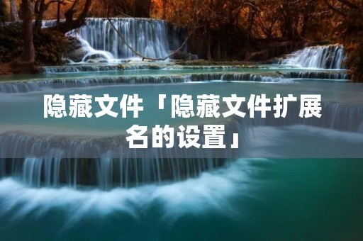 隐藏文件「隐藏文件扩展名的设置」 隐藏文件「隐藏文件扩展名的设置」