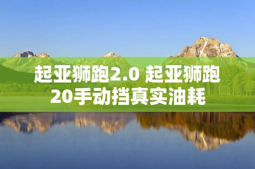 起亚狮跑2.0 起亚狮跑20手动挡真实油耗