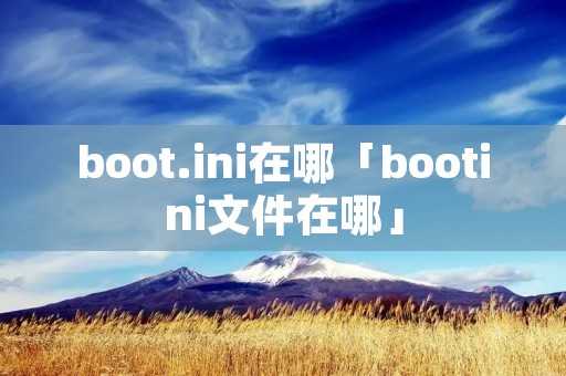 boot.ini在哪「bootini文件在哪」