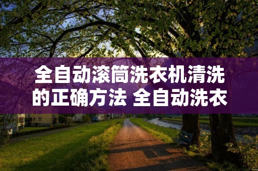 全自动滚筒洗衣机清洗的正确方法 全自动洗衣机清洗视频教程 全自动滚筒洗衣机清洗的正确方法 全自动洗衣机清洗视频教程
