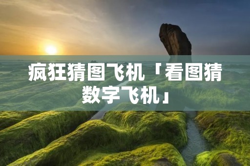 疯狂猜图飞机「看图猜数字飞机」