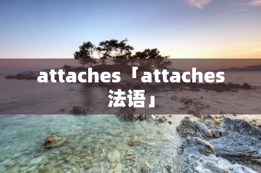 attaches「attaches法语」 attaches「attaches法语」